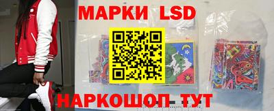 индика Краснознаменск