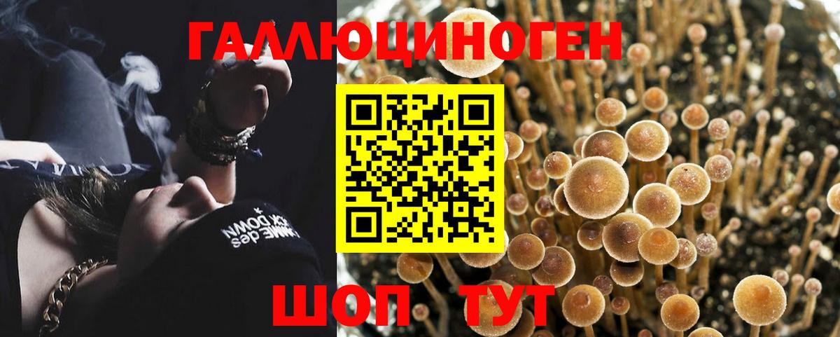 Псилоцибиновые грибы Cubensis Когалым