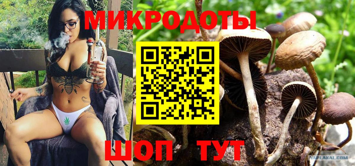 Когалым  Галлюциногенные грибы Psilocybe  Вход с VPN 